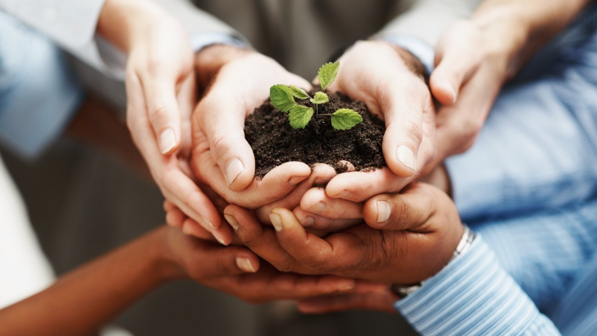 Niềm tin – Câu chuyện của sự bắt đầu2