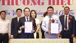 Hiệp hội Thang máy Việt Nam và Hiệp hội Chống hàng giả & Bảo vệ thương hiệu Việt Nam ký kết hợp tác Hiệp hội Thang máy Việt Nam và Hiệp hội Chống hàng giả & Bảo vệ thương hiệu Việt Nam ký kết hợp tác