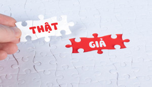 Hàng giả ‘len lỏi’ trong thị trường, ‘đánh cắp’ thị phần doanh nghiệp thang máy chân chính