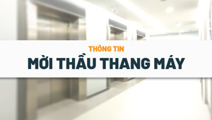 [Cập nhật] Thông tin mời thầu thang máy mới nhất ngày 04/08/2025