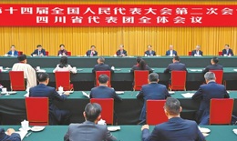 China: Proposal to Ban Electric Bicycles and Pets in Elevators