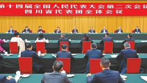 China: Proposal to Ban Electric Bicycles and Pets in Elevators