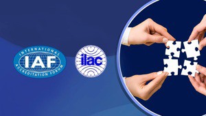 Cục Việc làm đề nghị VNEA phối hợp rà soát năng lực tổ chức đánh giá sự phù hợp