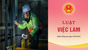 Hiệp hội Thang máy Việt Nam tham gia xây dựng Nghị định thi hành Luật Việc làm về phát triển kỹ năng nghề