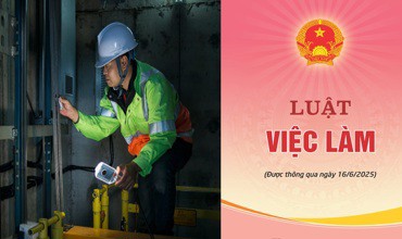 Hiệp hội Thang máy Việt Nam tham gia xây dựng Nghị định thi hành Luật Việc làm về phát triển kỹ năng nghề