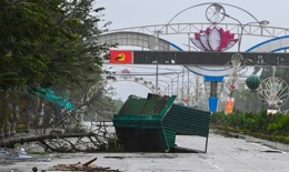 Elevators and Natural Disasters: Warning of Potential Hazards