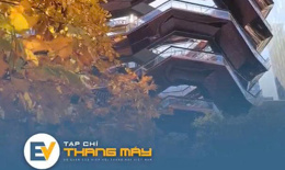 Vessel - The labyrinthine superstructure in the heart of New York