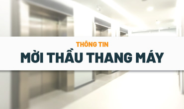 [Cập nhật] Thông tin mời thầu thang máy mới nhất ngày 27/01/2026