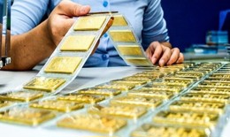 Quy định mới về trạng thái vàng của các tổ chức tín dụng