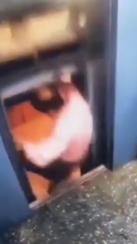 [Video] Suýt bị nghiền nát vì thang máy đột ngột di chuyển