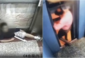 Cảnh báo hậu quả từ việc câu tắt mạch an toàn thang máy