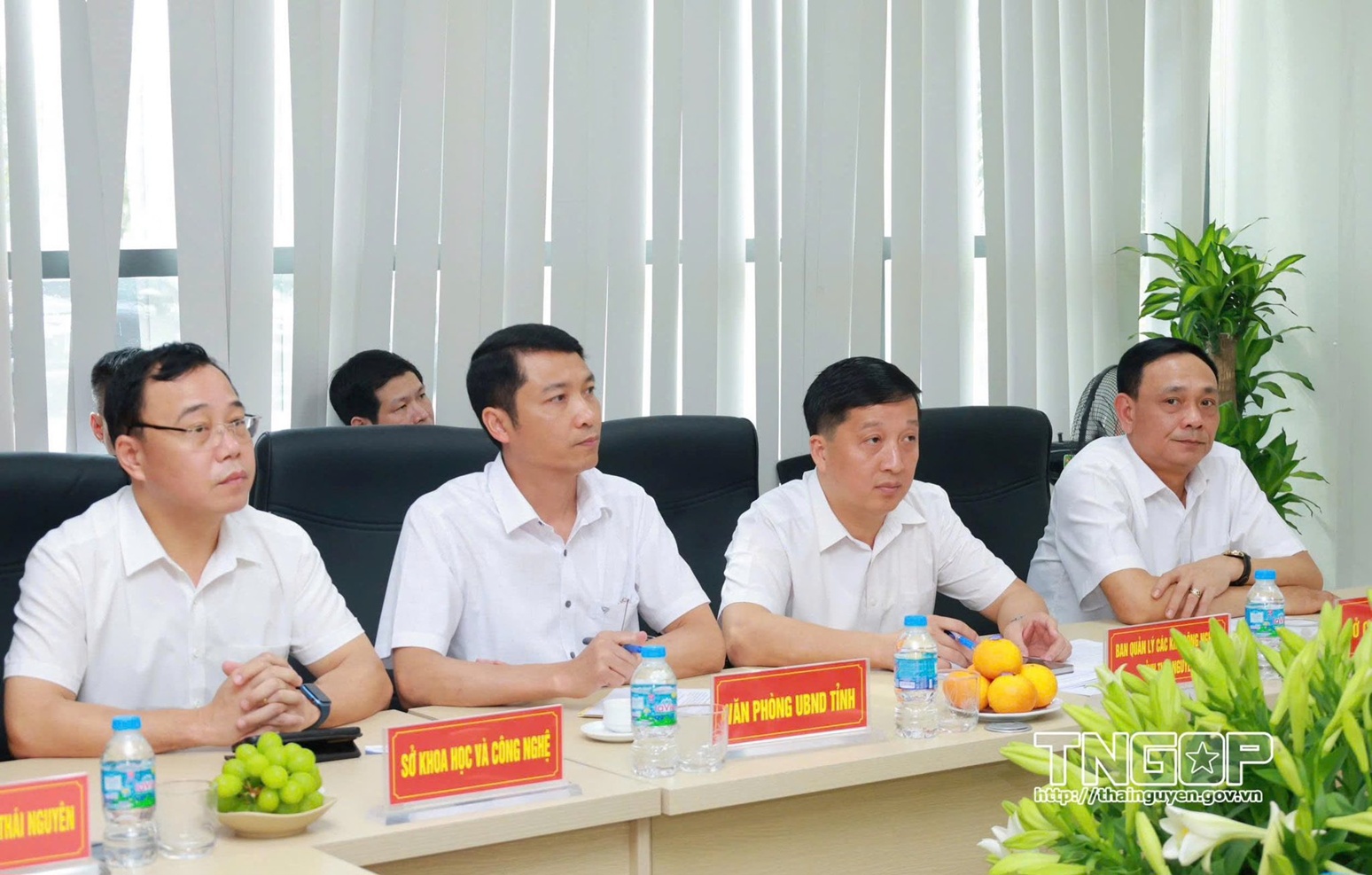 Các đại biểu tham dự buổi làm việc