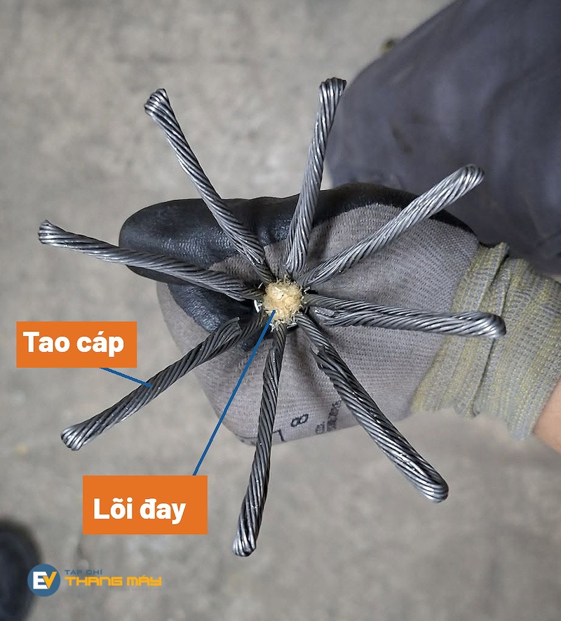 Cáp thép tròn lõi sợi đay là loại cáp phổ biến nhất được ứng dụng trong lĩnh vực thang máy. Lõi sợi đay giúp tăng độ linh hoạt của cáp khi uốn qua puly, đồng thời lưu trữ dầu dưỡng cho cáp.<br><br> Cáp thép tròn lõi sợi đay là loại cáp phổ biến nhất được ứng dụng trong lĩnh vực thang máy. Lõi sợi đay giúp tăng độ linh hoạt của cáp khi uốn qua puly, đồng thời lưu trữ dầu dưỡng cho cáp.<br><br>